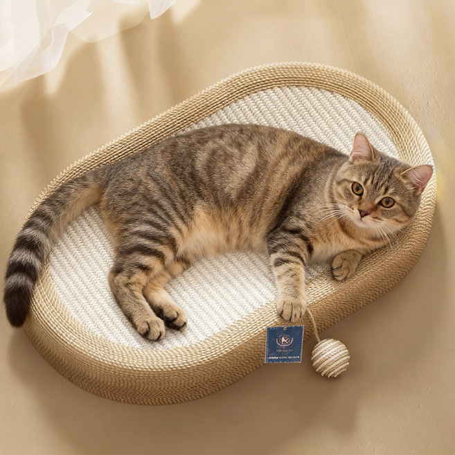 딩동펫 고양이 사이잘 눕눕 스크래쳐 캣닢 침대, 화이트, 1개