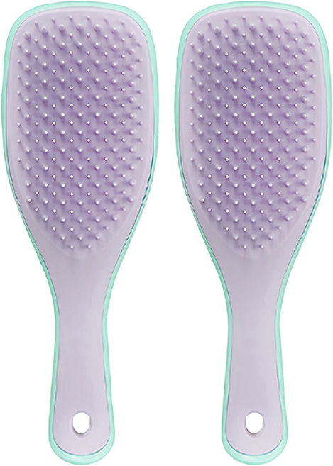탱글티저 웻 디탱글러 미니 헤어브러쉬, 위스테리아 리프, 2개