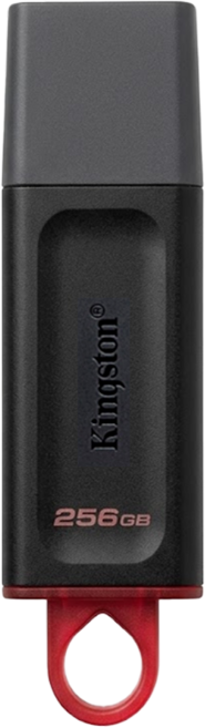 Kingston 金士頓 鑰匙環 紅色, 256GB, 1個