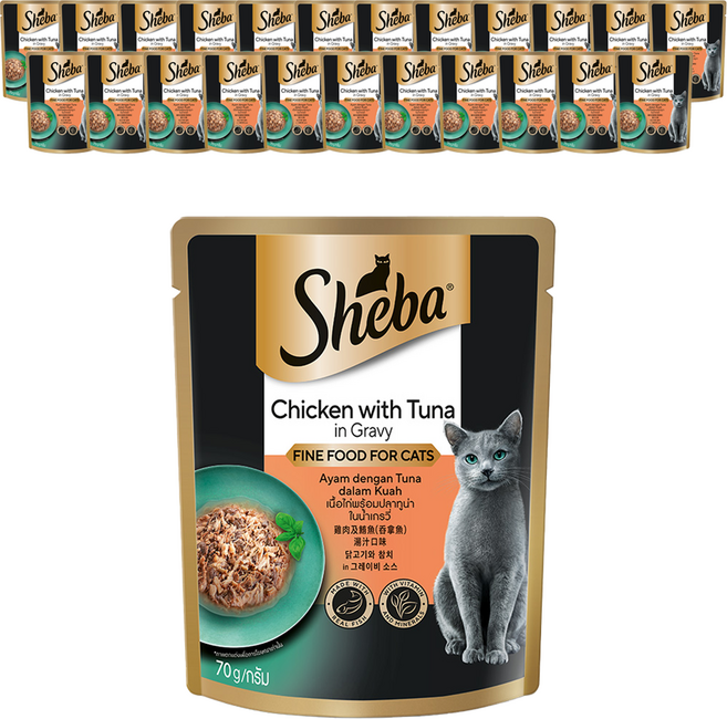 쉬바 1세 이상 고양이 간식 파우치, 닭+참치, 70g, 24개
