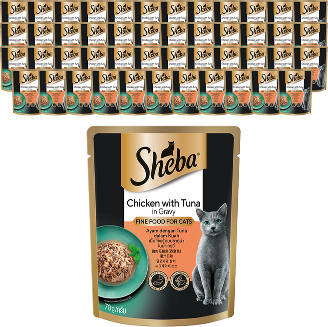쉬바 1세 이상 고양이 간식 파우치, 닭+참치, 70g, 48개