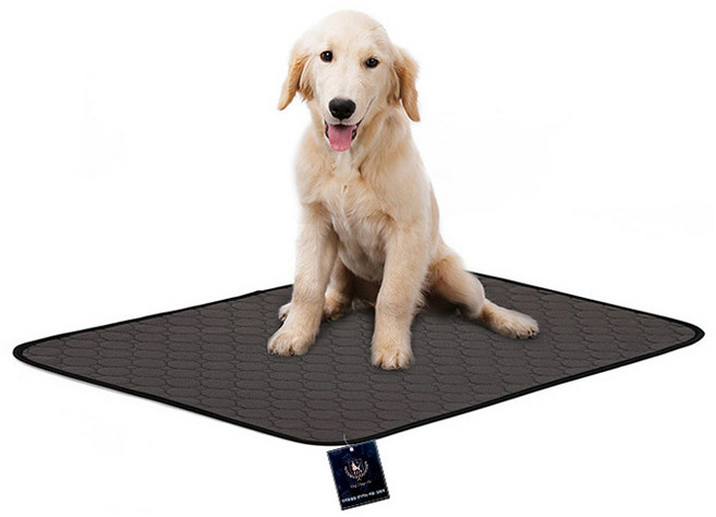 딩동펫 반려동물 빨아쓰는 소변매트, 1개입, 1개