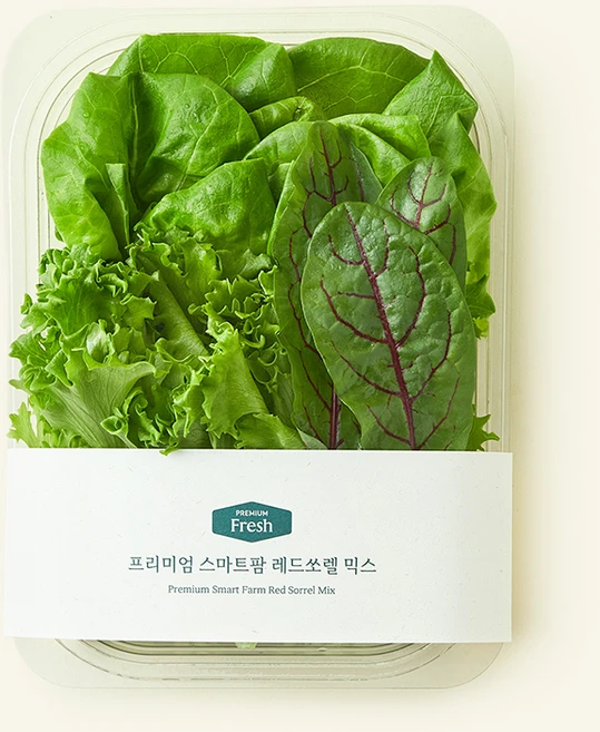 프리미엄 스마트팜 레드쏘렐 믹스, 100g, 1개, 1개입 - 쿠팡