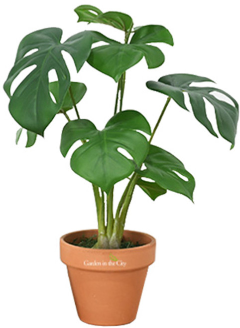 도시정원 조화 몬스테라 화분, 혼합색상, 1개