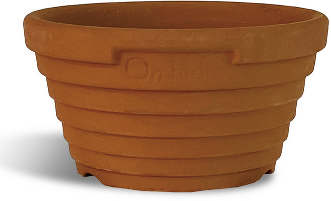 오키디아토분, 1개