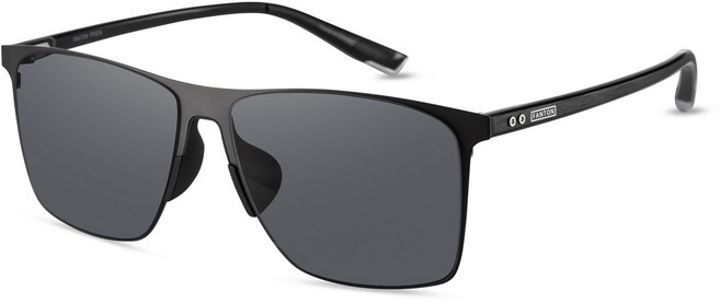 팬톤 티타늄 프레임 선글라스 FFG74