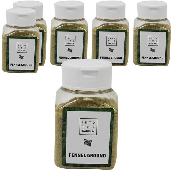 딜리셔스마켓 펜넬분 향신료 소형, 50g, 6개