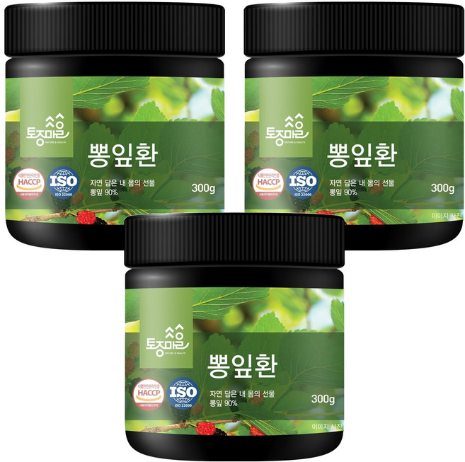 토종마을 HACCP 인증 뽕잎환, 3개, 300g