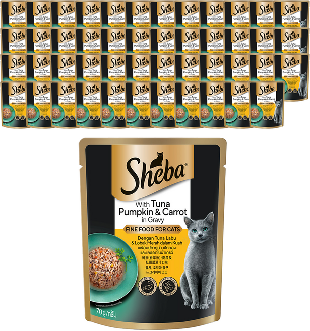 쉬바 1세 이상 고양이 간식 파우치, 참치+호박+당근, 70g, 48개