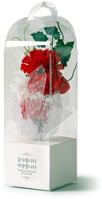 morningscent 조화 어버이날 스승의 날 반딧불 카네이션 + 조명 세트, 레드(카네이션), 1개