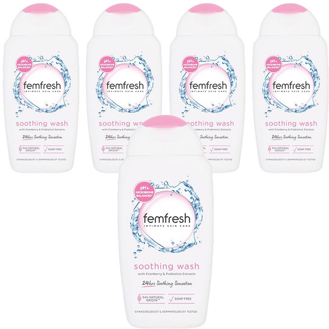 펨프레쉬 수딩워시 데일리 여성청결제, 250ml, 5개