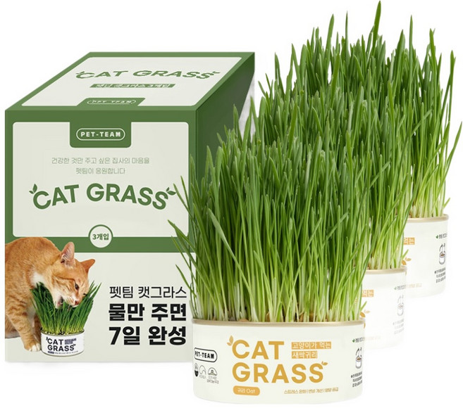 펫팀 캣그라스 간식, 새싹귀리, 200g, 3개