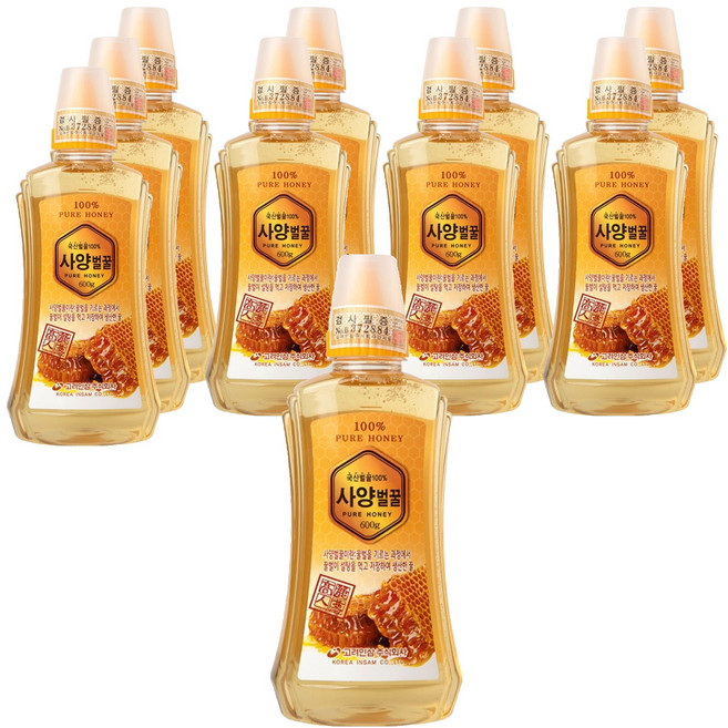고려인삼 사양 벌꿀, 600g, 10개