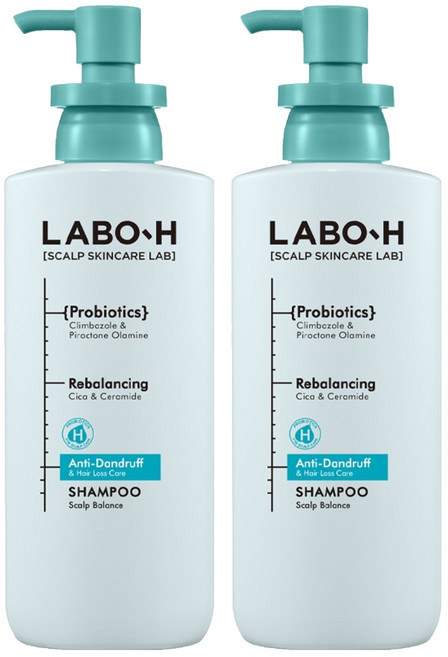 라보에이치 댄드 러프 클리닉 비듬 두피 각질 케어 약산성 기능성샴푸, 2개, 400ml