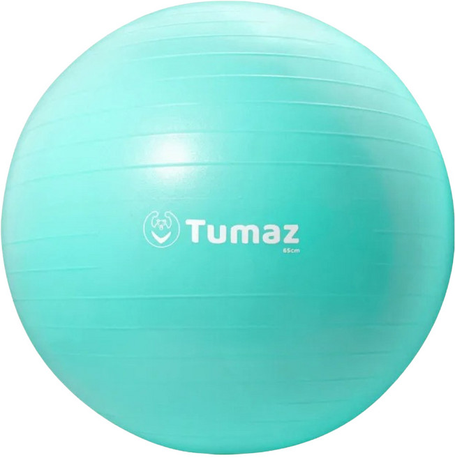Tumaz 月熊 加厚防爆瑜珈球 健身訓練 居家辦公 矯正坐姿 附打氣筒, 湖水綠