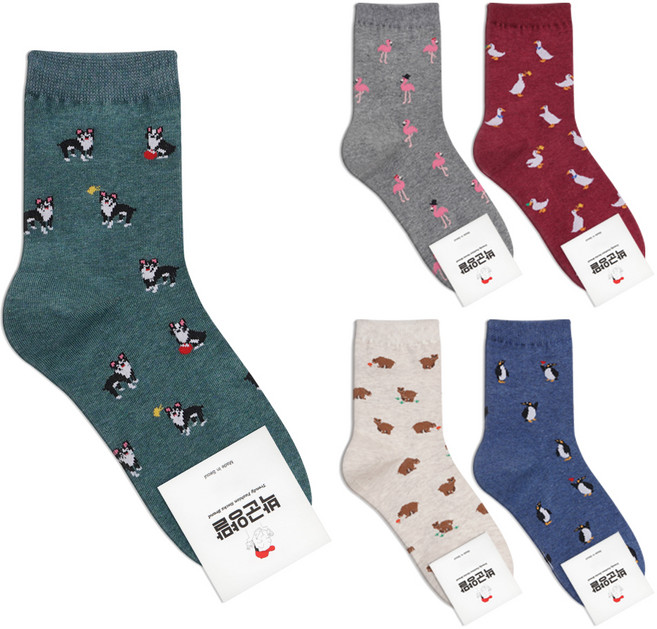 박군 여성용 애니멀즈 양말 5족