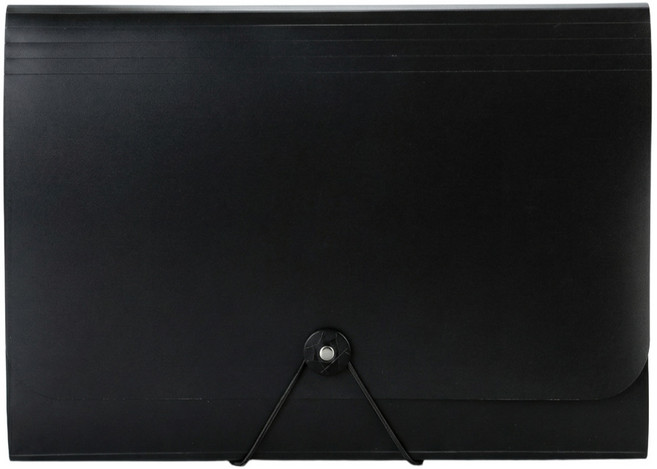 빅벅 아코디언 파일 수납 정리 13칸, 투명 블랙, 1개