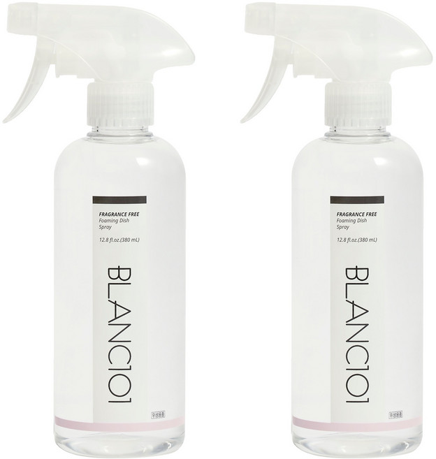 블랑101 뿌리는 스프레이형 주방 세제, 380ml, 2개