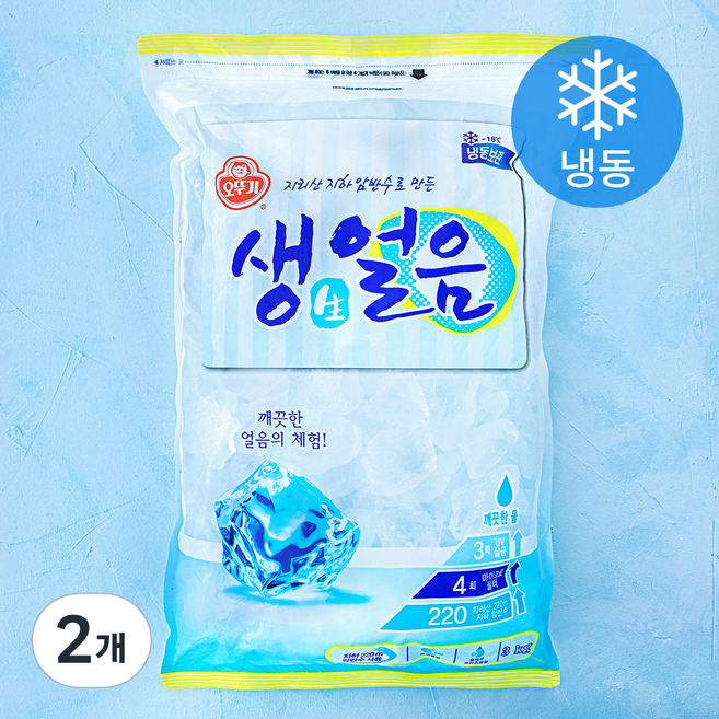 오뚜기 생얼음 (냉동), 3kg, 2개