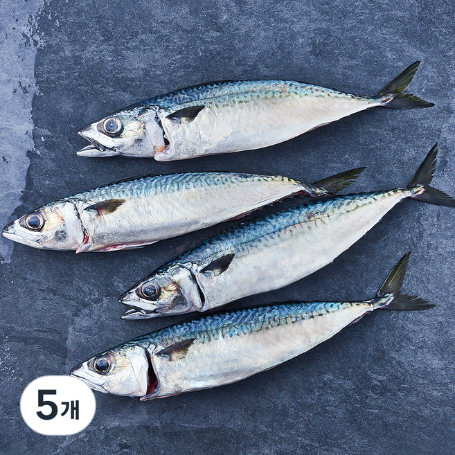 부산 간고등어 2손 해동 (냉장), 5개, 600g(중)