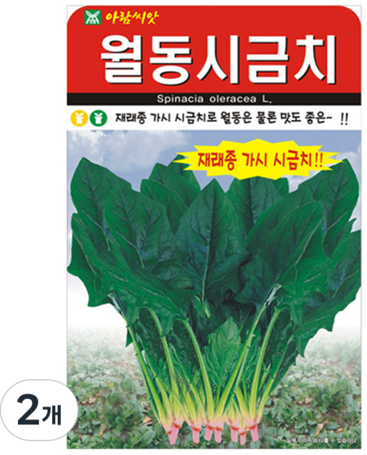 아람종묘 월동 시금치 씨앗, 2개
