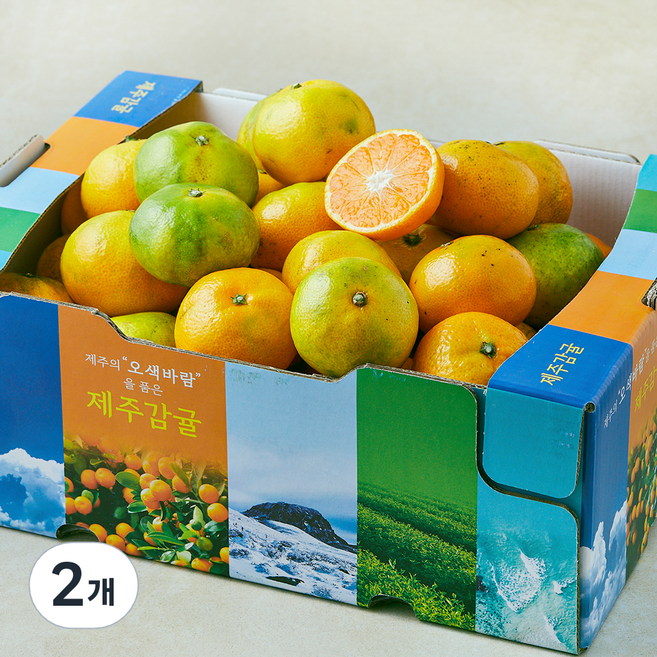 오색바람 못난이 하우스감귤, 2개, 5kg