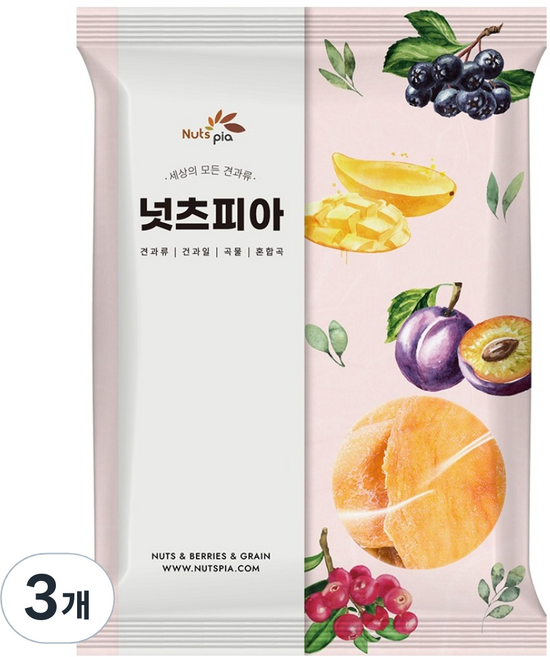 넛츠피아 건망고 슬라이스, 3개, 1kg