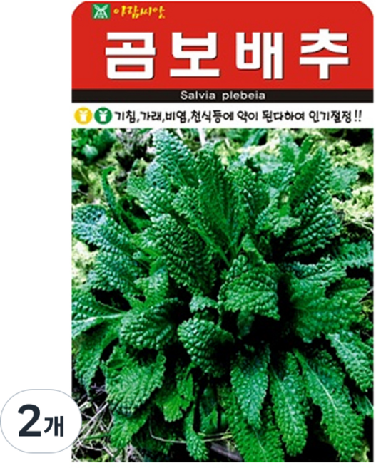 아람종묘 곰보배추 씨앗 1000p, 2개