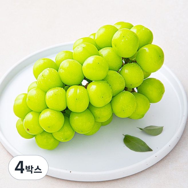 산지직송 아주마 비파괴 당도 선별 영동 상주산 샤인머스켓, 600g, 4박스