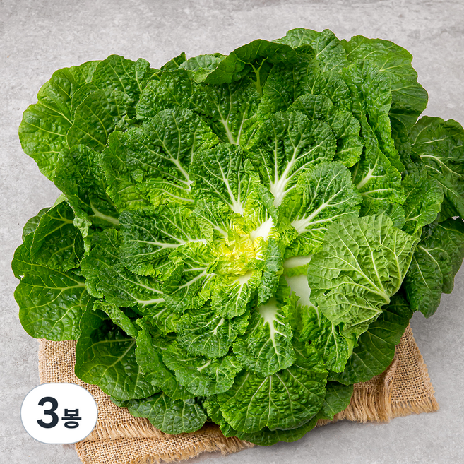 국내산 봄동, 1kg, 3봉