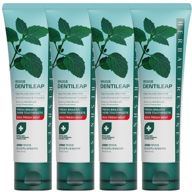 2080 덴티리프 일사오공맥스 후레쉬치약, 120g, 4개