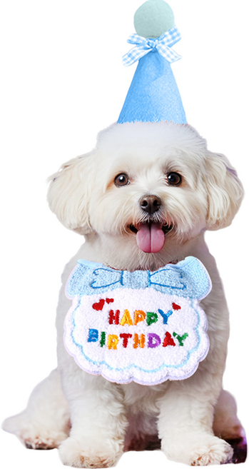 마르벨라 반려동물 멍냥이 생일파티 스카프 + 모자 세트 Free, 스카이블루, 1세트