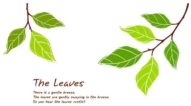 데코사랑 그래픽스티커 더리브즈2, B(다크브라운+올리브그린+옐로우그린)