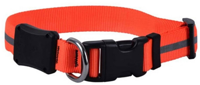 도그 컬러, 오렌지, 1개