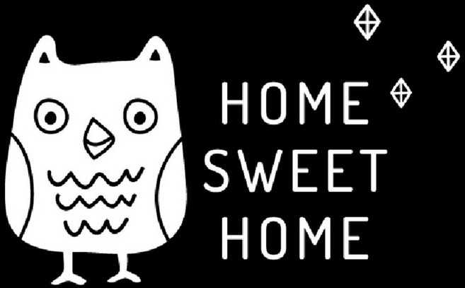 슬로우드로잉 데코스티커 행운의부엉이D, 화이트