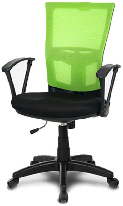 체어클럽 에코메쉬M5 기본형 블랙바디, 그린