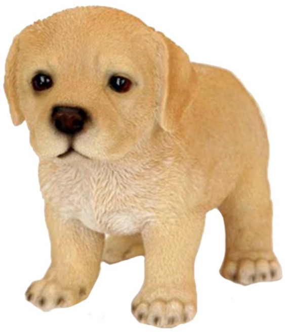 인투데코 레브라도 리트리버2, 1개, 1개