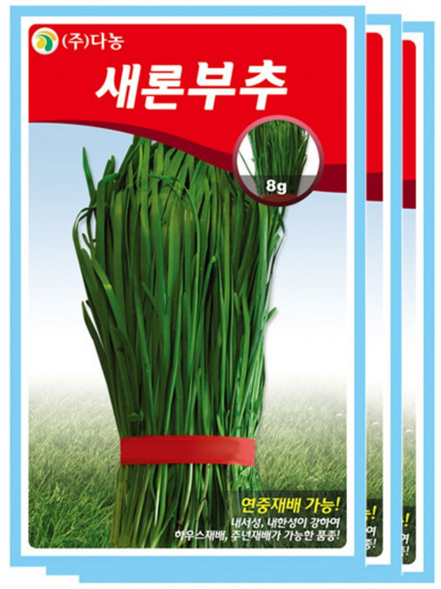 다농 새론부추 씨앗, 3개