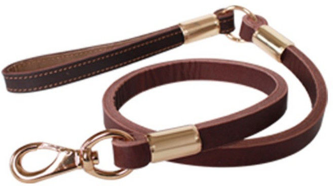 티티펫 금장 가죽 리드줄, 브라운, 1개