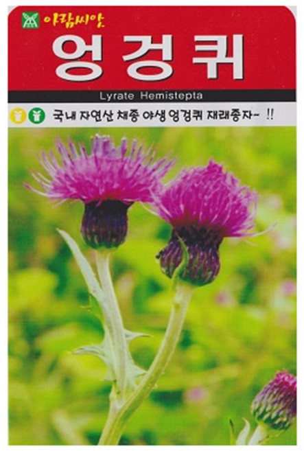 저스틴앤클로이 엉겅퀴 약초종자 100립, 1개