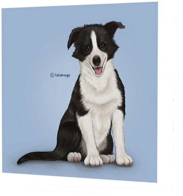 아이비스킷 반려동물 아크릴 액자, 보더콜리