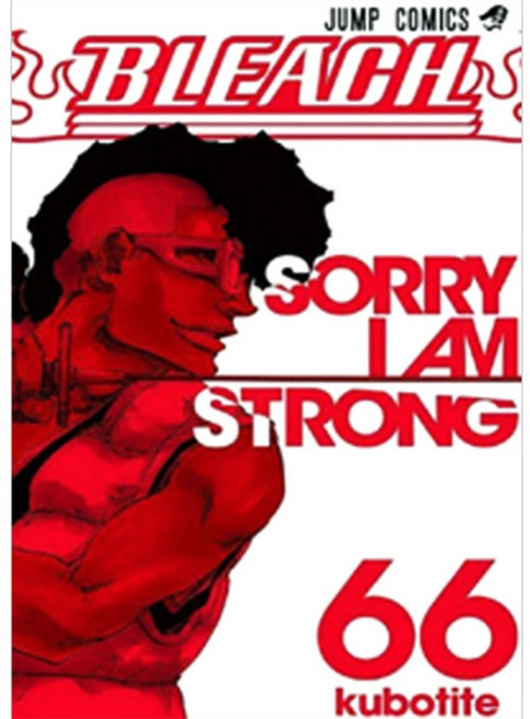 블리치 66, 서울문화사