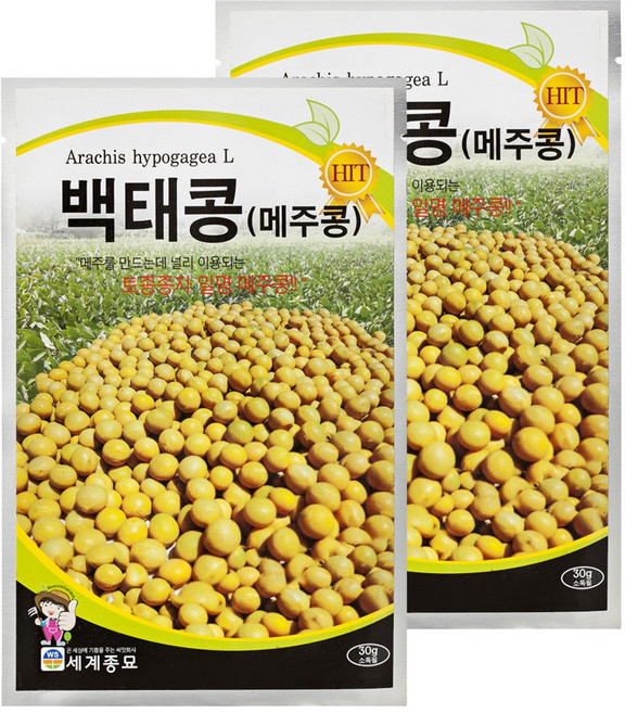 세계종묘 백태 메주콩 30g, 2개
