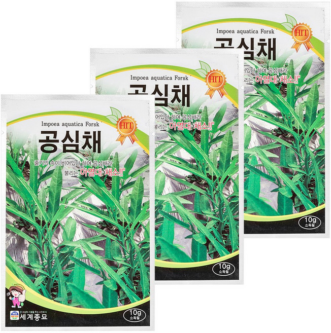 세계종묘 공심채 10g, 3개