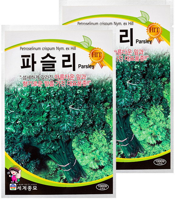 세계종묘 파슬리 1천립, 2개