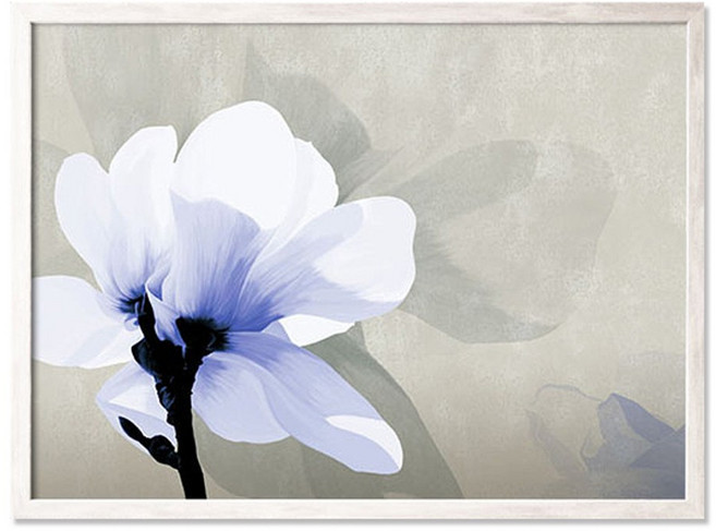 네츄럴이미지 10-11F002-2AF-1 액자, 혼합 색상