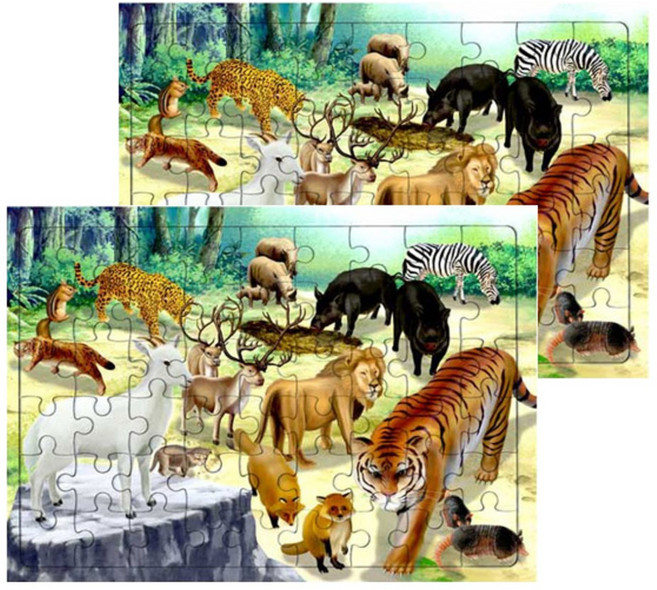 퍼즐러브 아시아의 동물 판퍼즐, 2개, 54피스