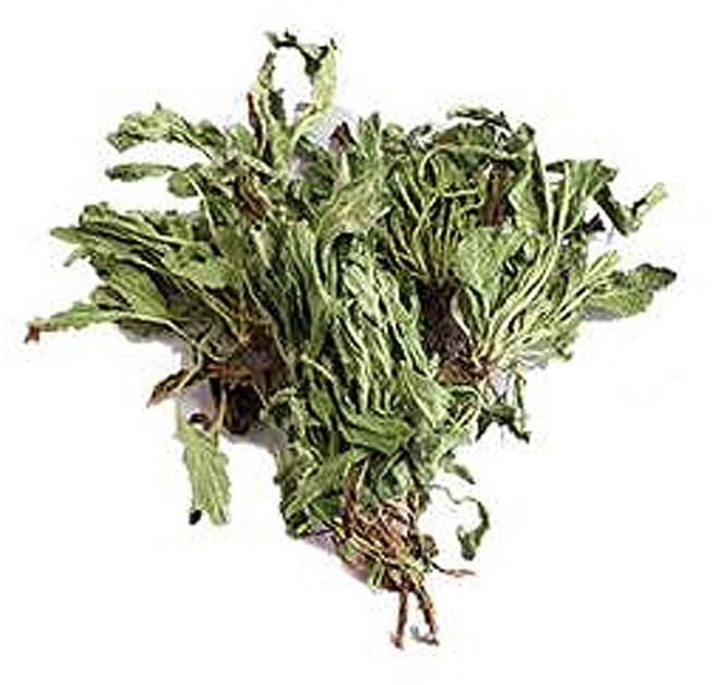 두손애약초 곰보배추, 1개, 300g