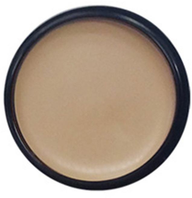 애리조 카마플레이지 크림 13g, No3 크림, 1개