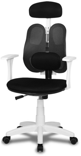 체어클럽 메쉬팡 듀얼C형 요추헤더형 화이트바디 메쉬원단 학생/사무용의자, 블랙